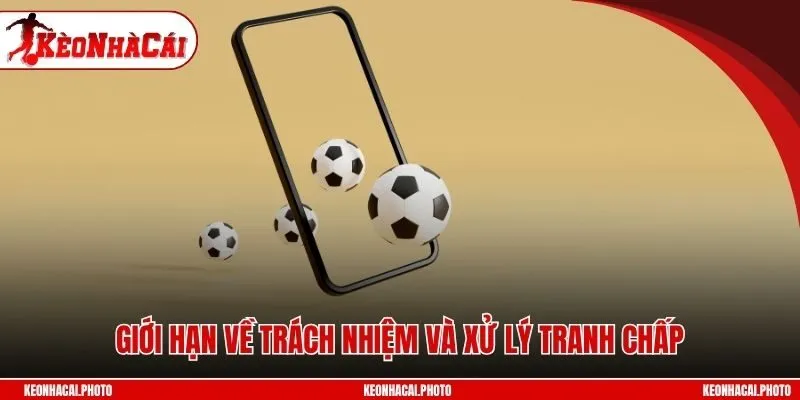 Giới hạn về trách nhiệm và xử lý tranh chấp