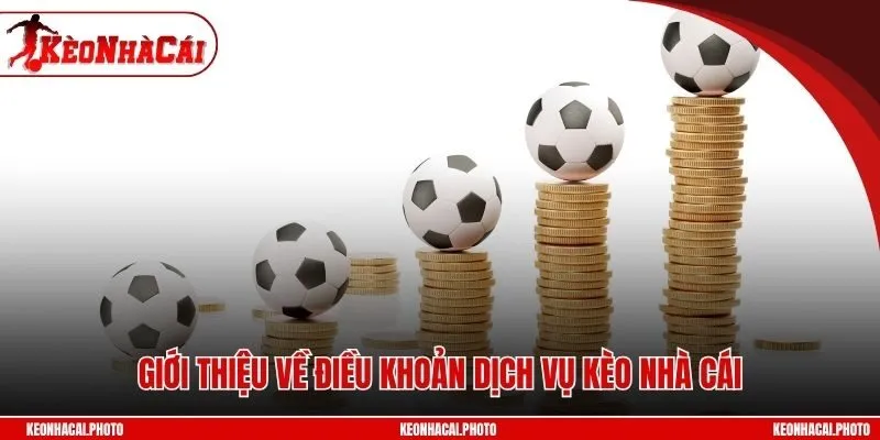 Giới thiệu về điều khoản dịch vụ kèo nhà cái