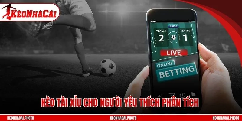 Kèo tài xỉu cho người yêu thích phân tích 