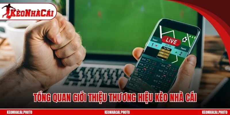 Tổng quan giới thiệu thương hiệu Keonhacai